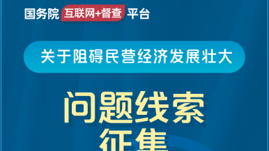 wwwc，超黄免费网站国务院“互联网+督查”平台公开征集阻碍民营经济发展壮大问题线索